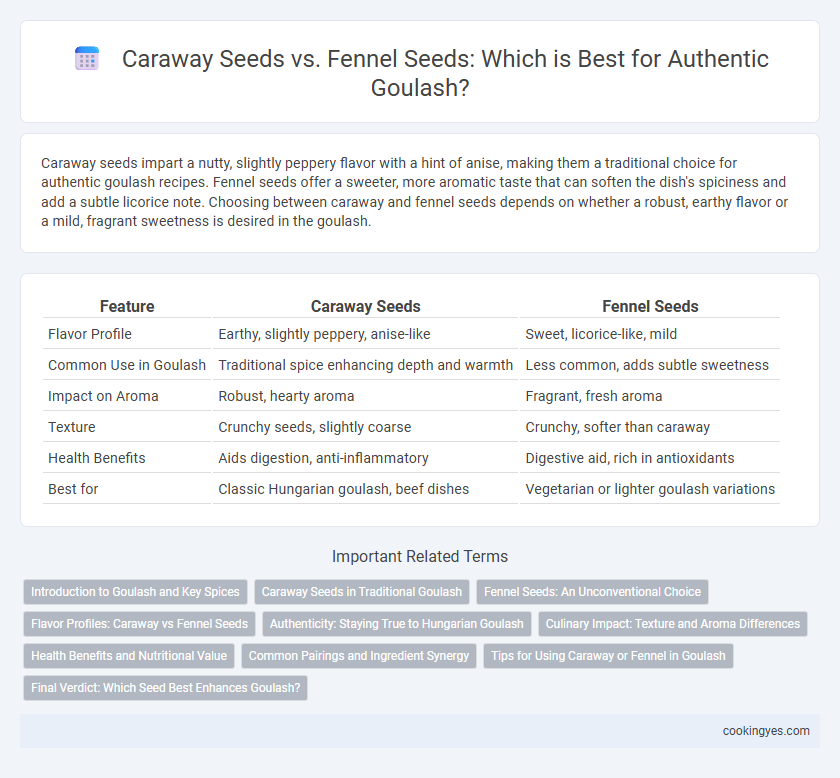 Caraway Seeds vs. Fennel Seeds: Which is Best for Authentic Goulash?