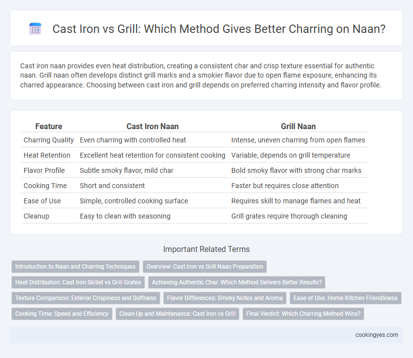 Cast Iron vs Grill: Which Method Gives Better Charring on Naan?