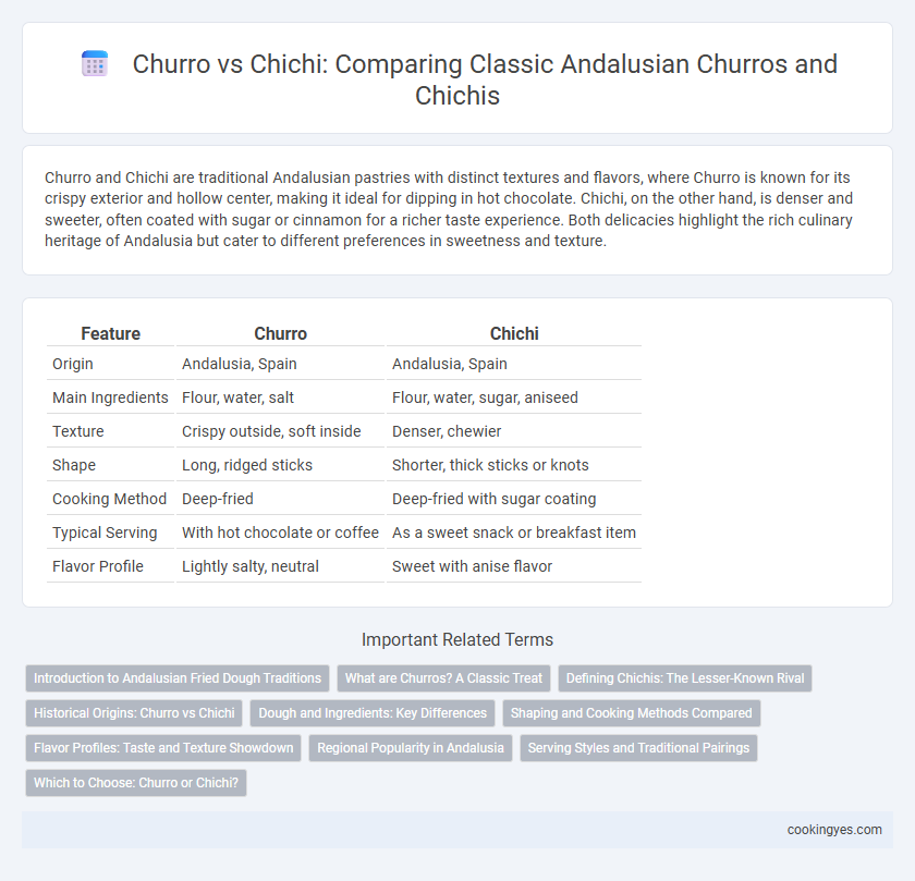 Churro vs Chichi: Comparing Classic Andalusian Churros and Chichis
