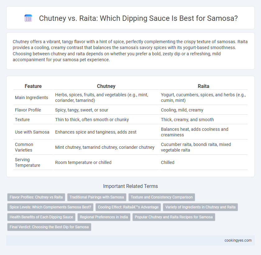 Chutney vs. Raita: Which Dipping Sauce Is Best for Samosa?