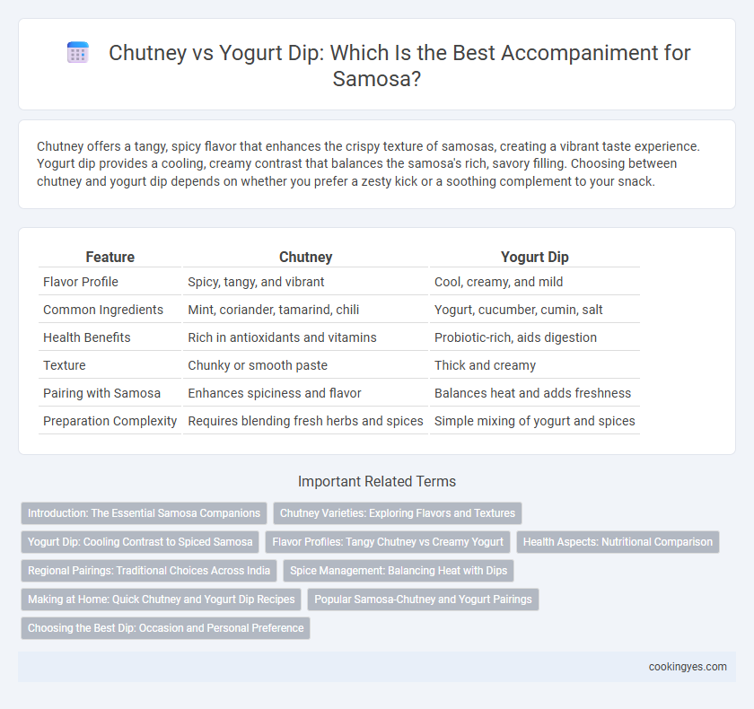 Chutney vs Yogurt Dip: Which Is the Best Accompaniment for Samosa?