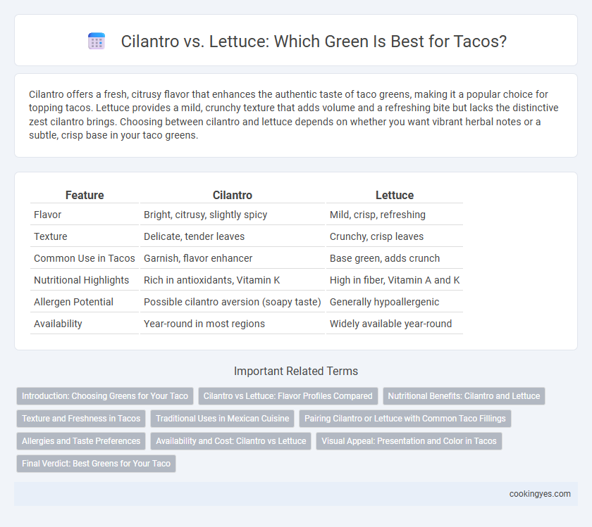 Cilantro vs. Lettuce: Which Green Is Best for Tacos?