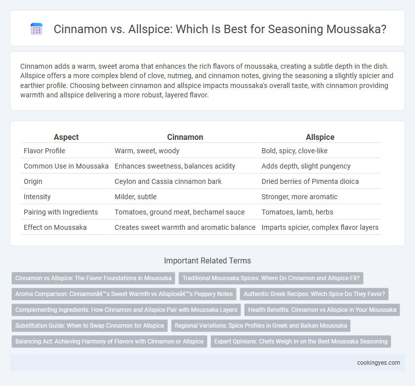 Cinnamon vs. Allspice: Which Is Best for Seasoning Moussaka?