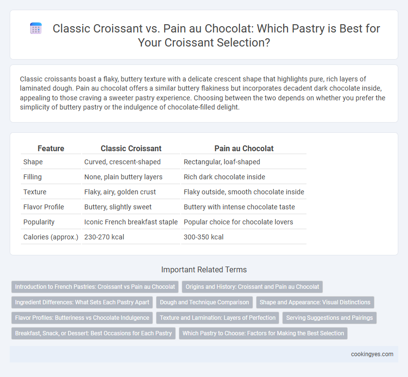 Classic Croissant vs. Pain au Chocolat: Which Pastry is Best for Your Croissant Selection?