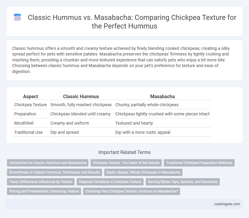Classic Hummus vs. Masabacha: Comparing Chickpea Texture for the Perfect Hummus