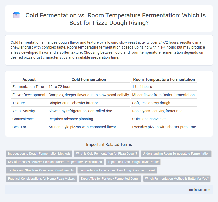 Cold Fermentation vs. Room Temperature Fermentation: Which Is Best for Pizza Dough Rising?