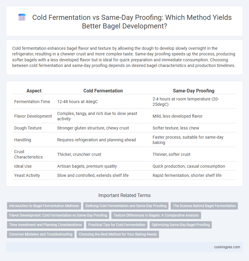 Cold Fermentation vs Same-Day Proofing: Which Method Yields Better Bagel Development?