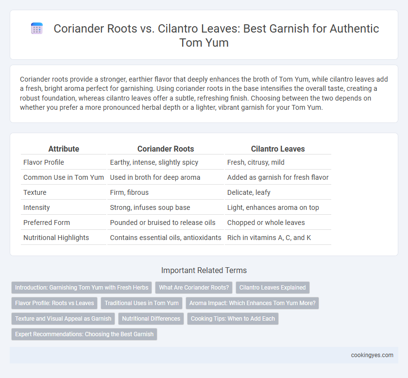 Coriander Roots vs. Cilantro Leaves: Best Garnish for Authentic Tom Yum