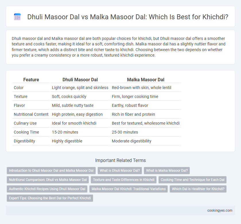 Dhuli Masoor Dal vs Malka Masoor Dal: Which Is Best for Khichdi?