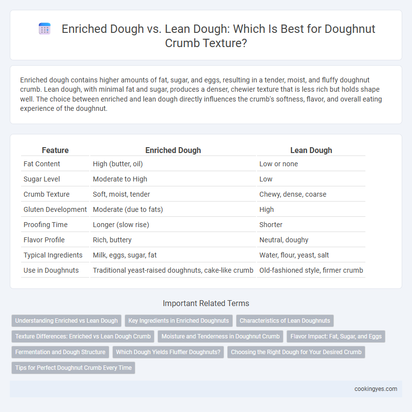 Enriched Dough vs. Lean Dough: Which Is Best for Doughnut Crumb Texture?