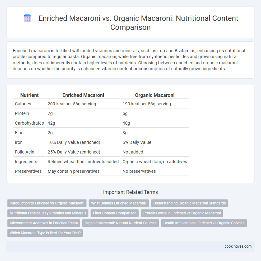 Enriched Macaroni vs. Organic Macaroni: Nutritional Content Comparison