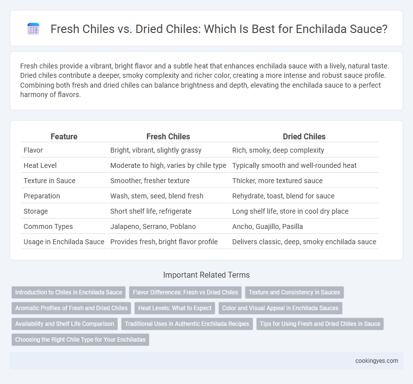 Fresh Chiles vs. Dried Chiles: Which Is Best for Enchilada Sauce?