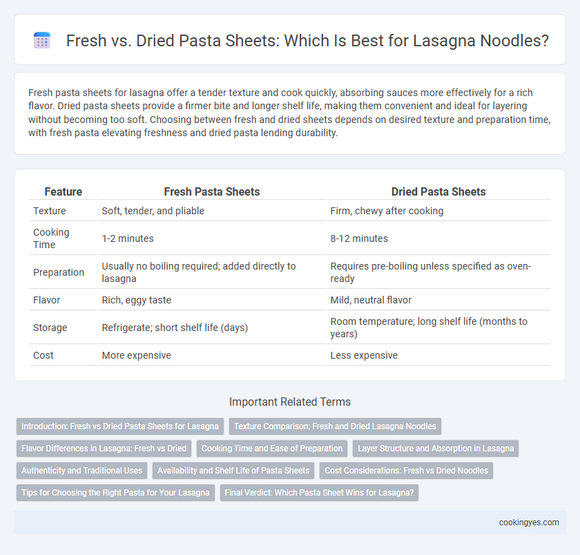 Fresh vs. Dried Pasta Sheets: Which Is Best for Lasagna Noodles?