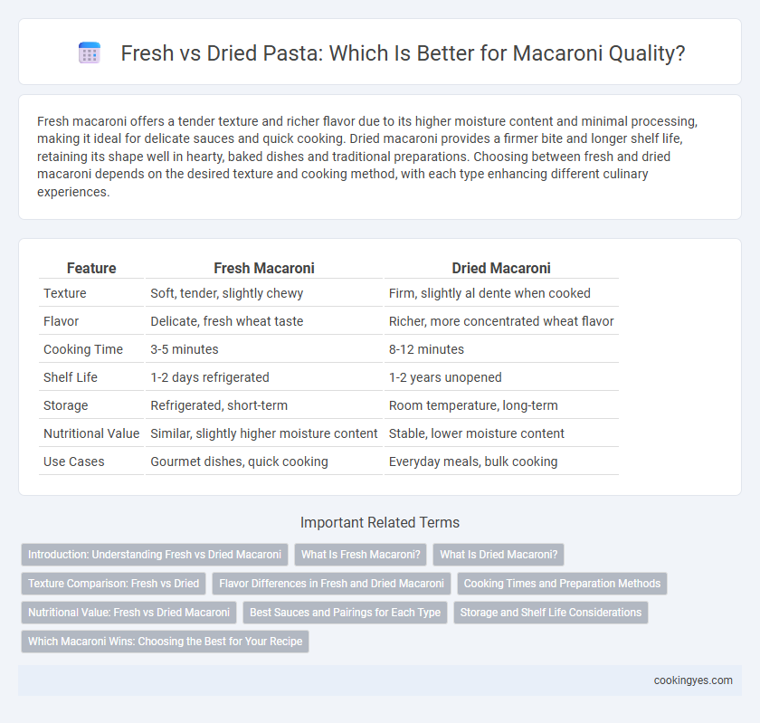 Fresh vs Dried Pasta: Which Is Better for Macaroni Quality?