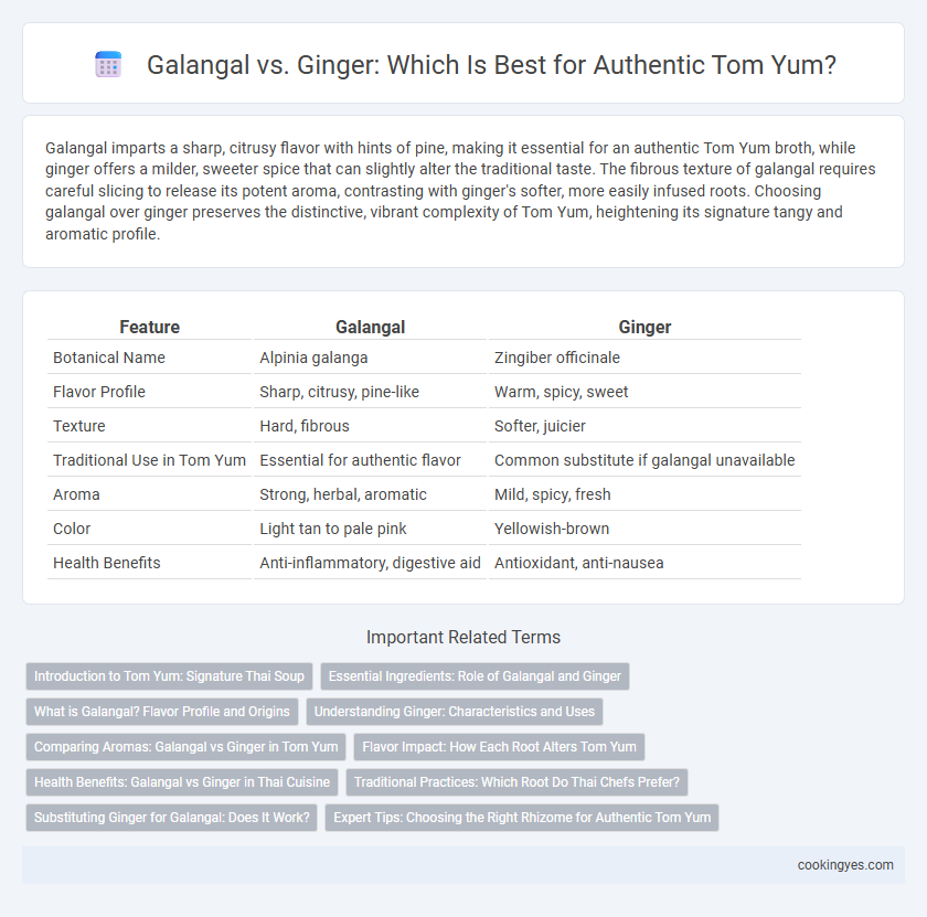 Galangal vs. Ginger: Which Is Best for Authentic Tom Yum?