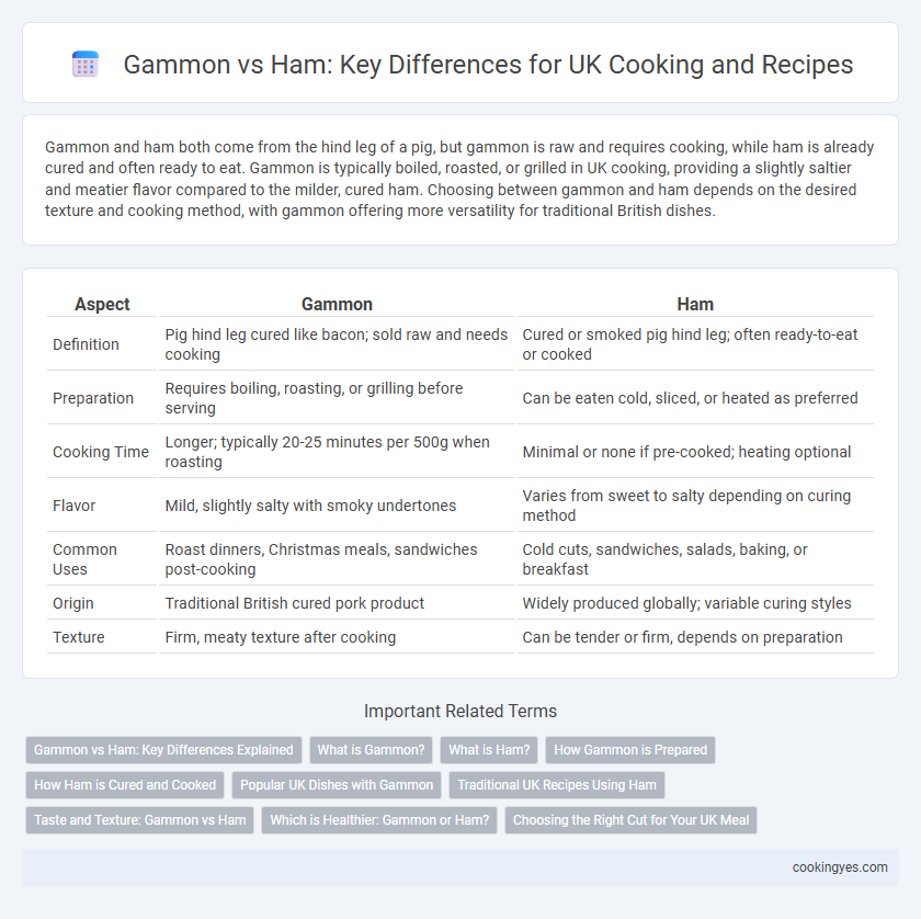 Gammon vs Ham: Key Differences for UK Cooking and Recipes