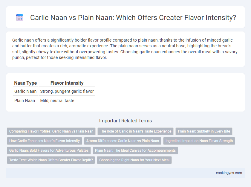 Garlic Naan vs Plain Naan: Which Offers Greater Flavor Intensity?