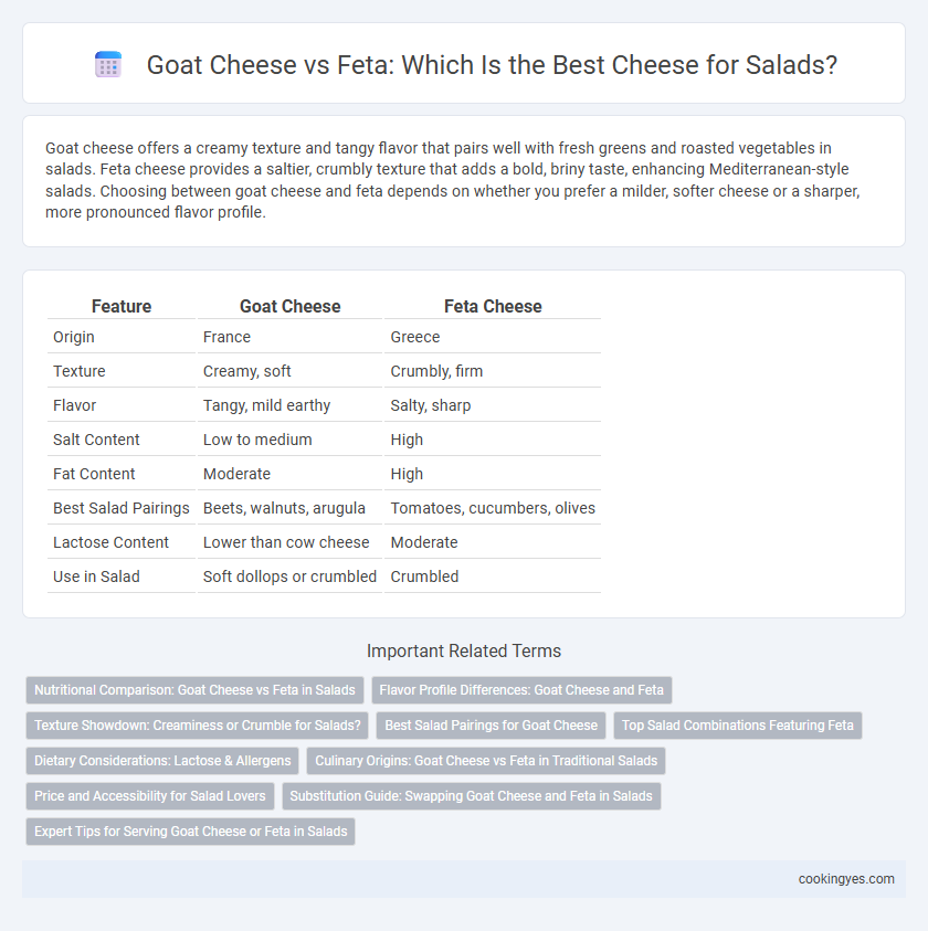 Goat Cheese vs Feta: Which Is the Best Cheese for Salads?