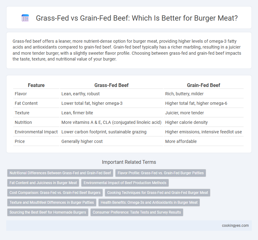 Grass-Fed vs Grain-Fed Beef: Which Is Better for Burger Meat?