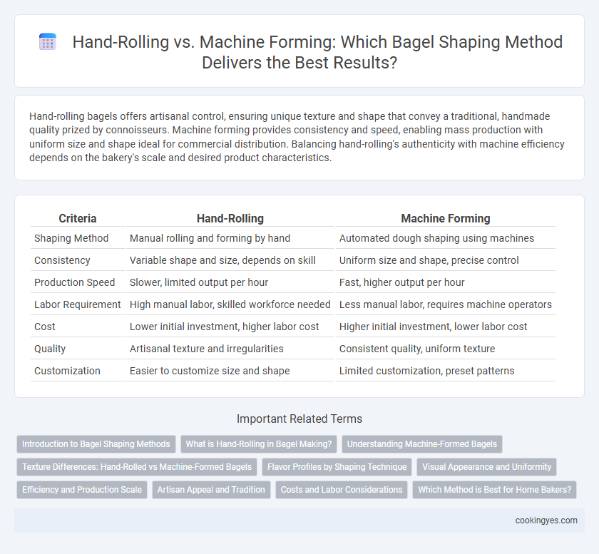 Hand-Rolling vs. Machine Forming: Which Bagel Shaping Method Delivers the Best Results?