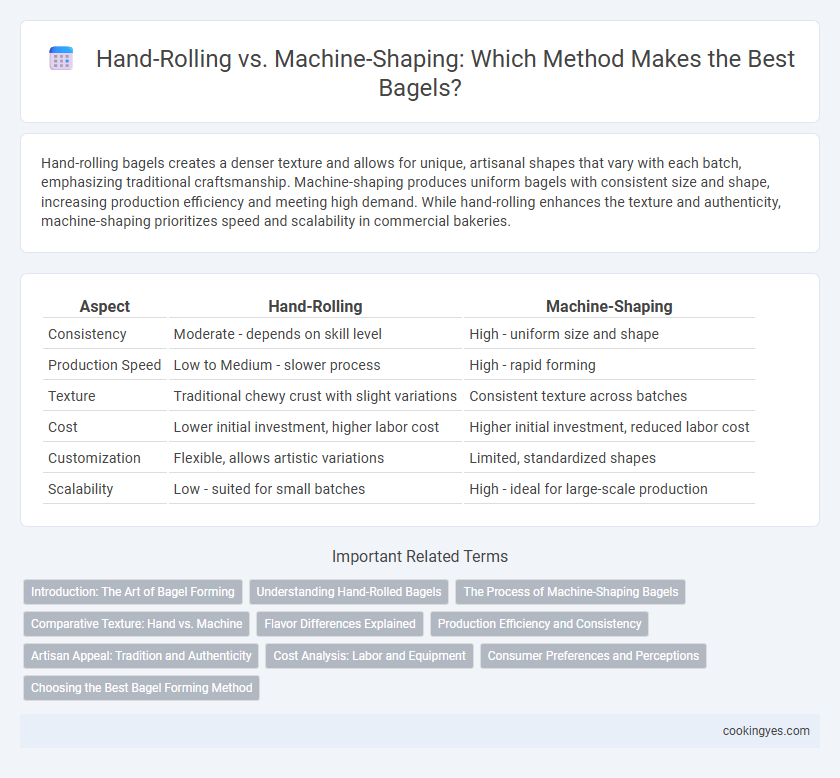 Hand-Rolling vs. Machine-Shaping: Which Method Makes the Best Bagels?