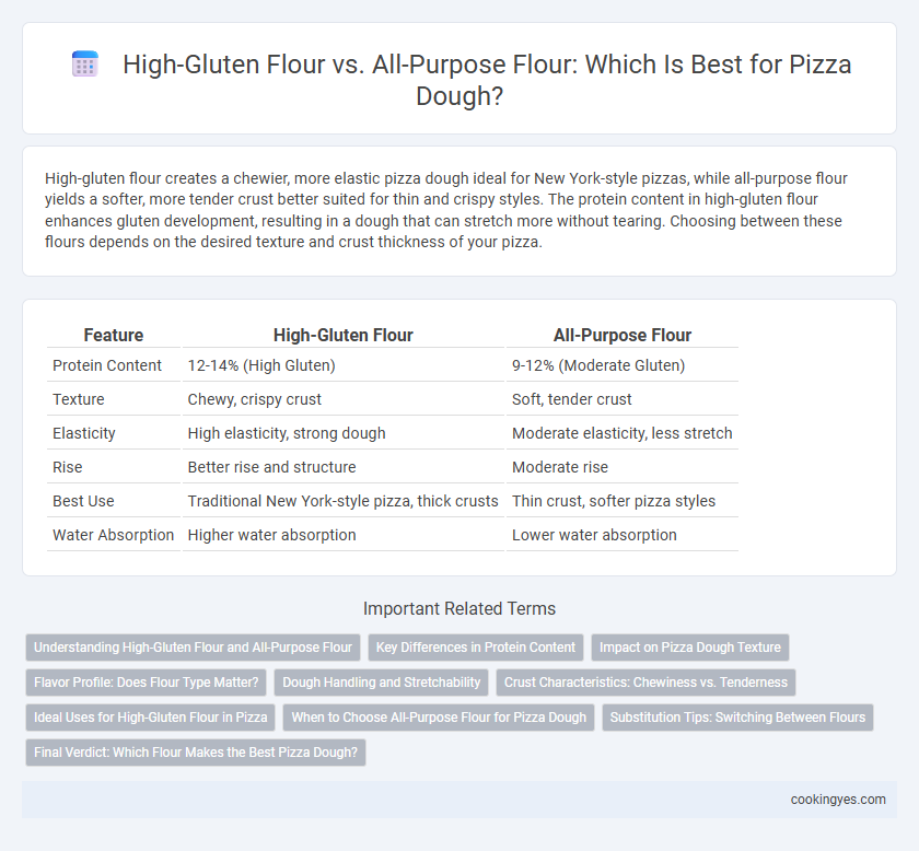 High-Gluten Flour vs. All-Purpose Flour: Which Is Best for Pizza Dough?