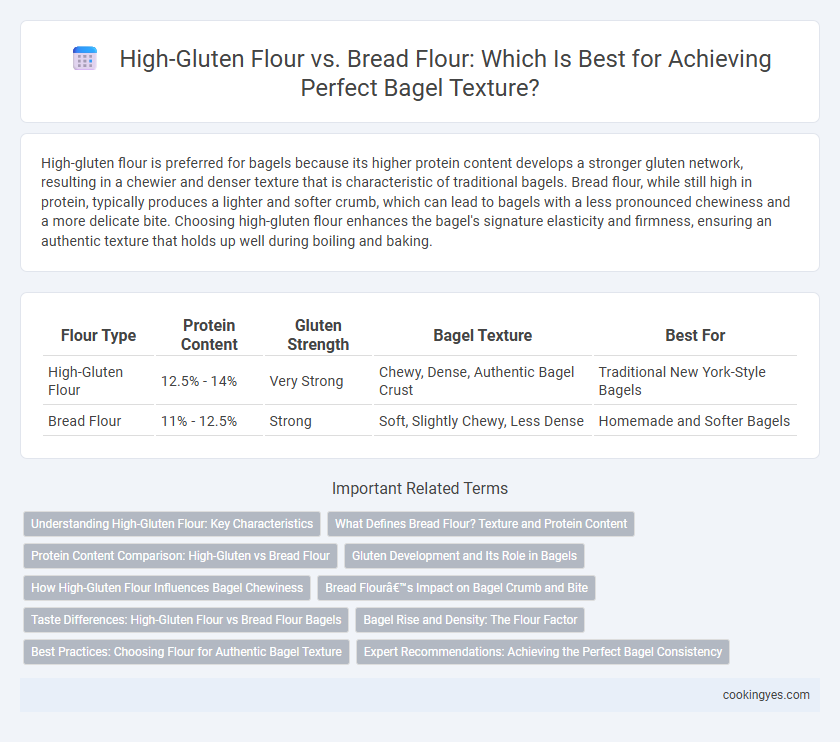 High-Gluten Flour vs. Bread Flour: Which Is Best for Achieving Perfect Bagel Texture?