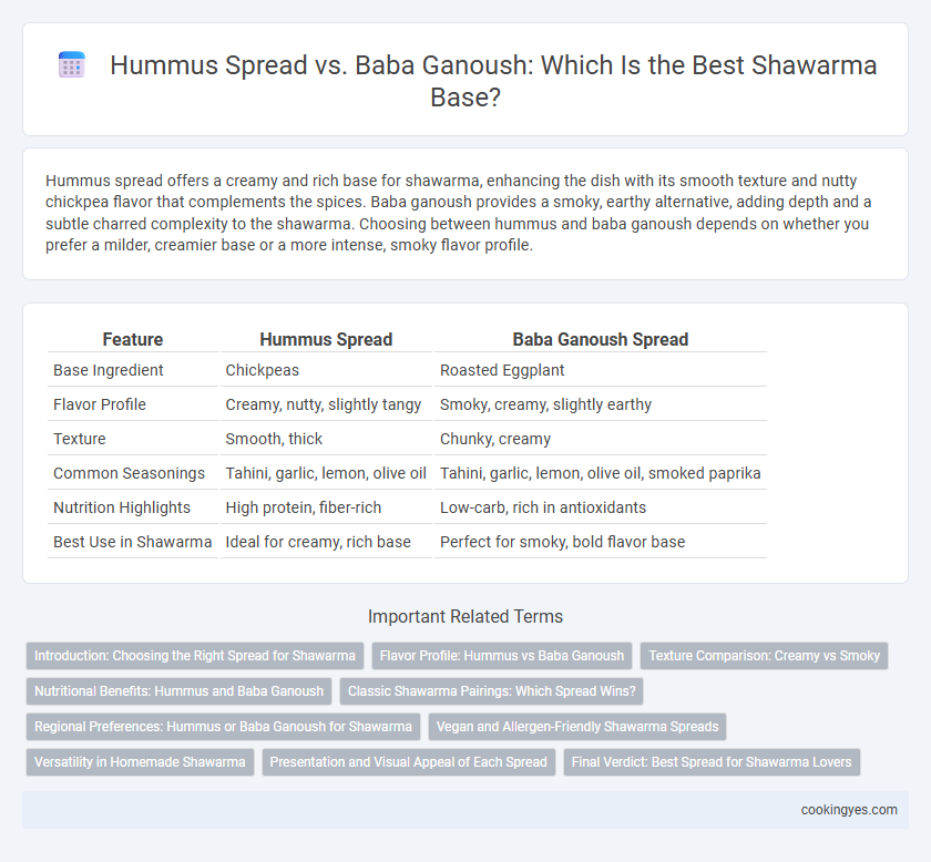 Hummus Spread vs. Baba Ganoush: Which Is the Best Shawarma Base?