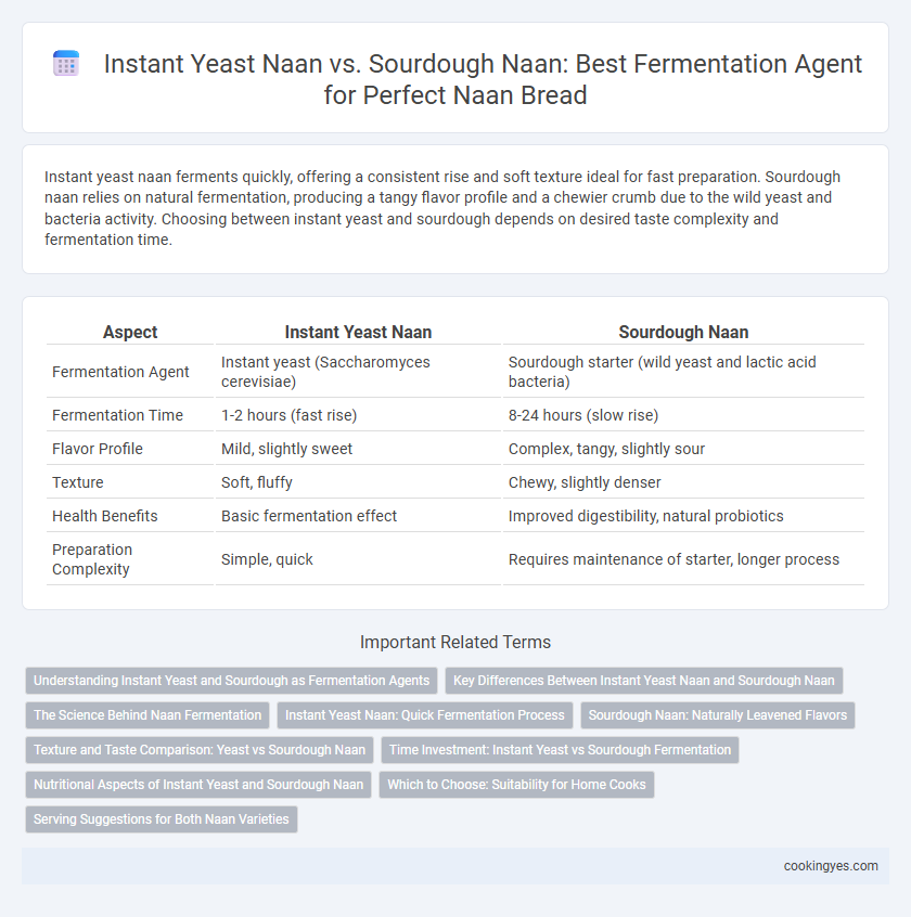 Instant Yeast Naan vs. Sourdough Naan: Best Fermentation Agent for Perfect Naan Bread
