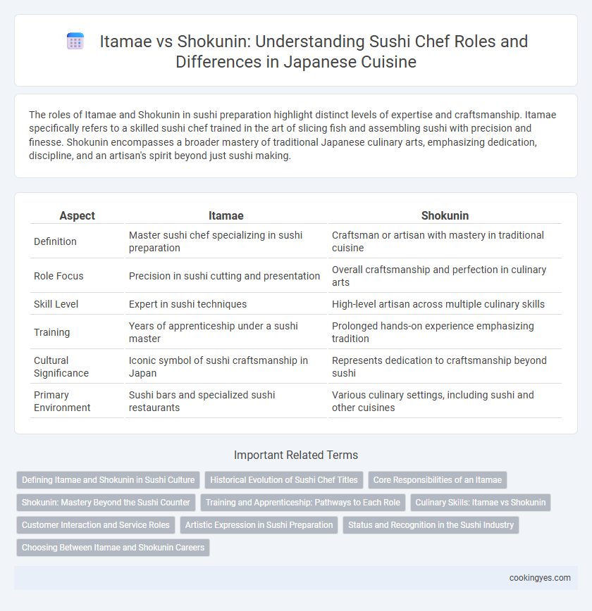 Itamae vs Shokunin: Understanding Sushi Chef Roles and Differences in Japanese Cuisine