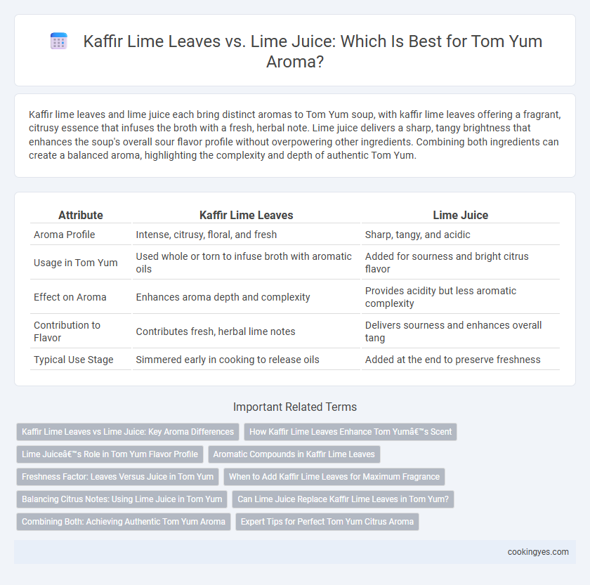 Kaffir Lime Leaves vs. Lime Juice: Which Is Best for Tom Yum Aroma?