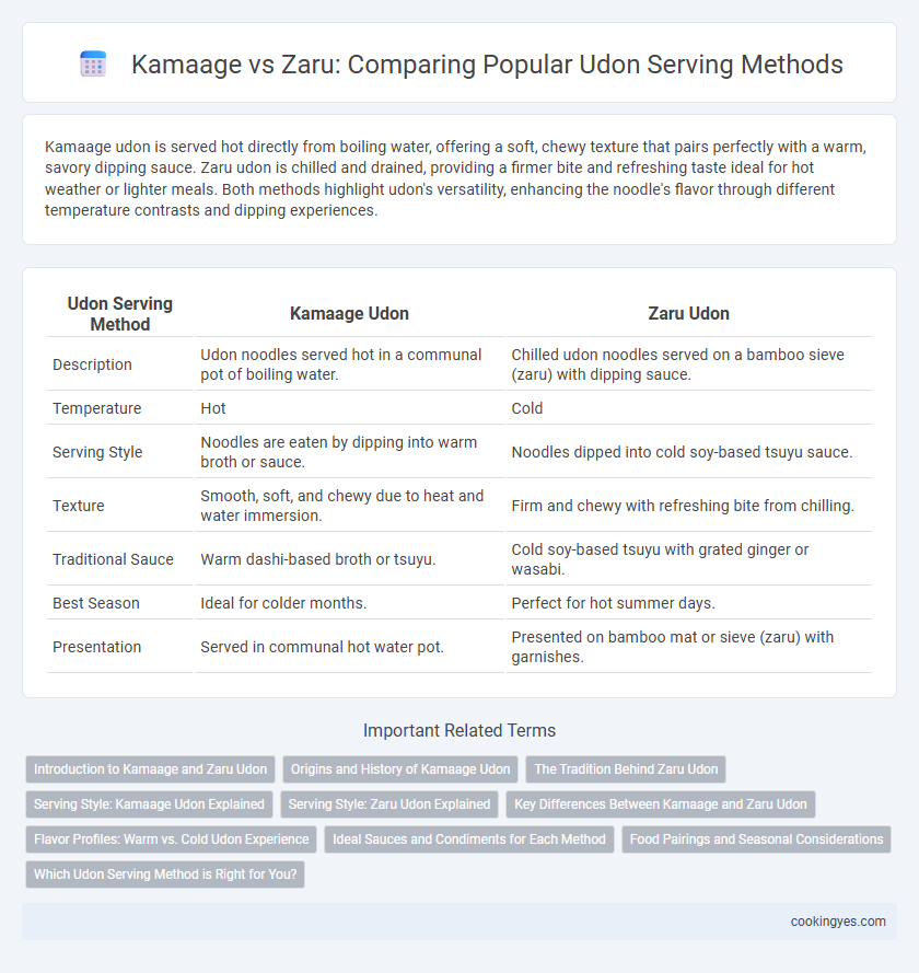Kamaage vs Zaru: Comparing Popular Udon Serving Methods