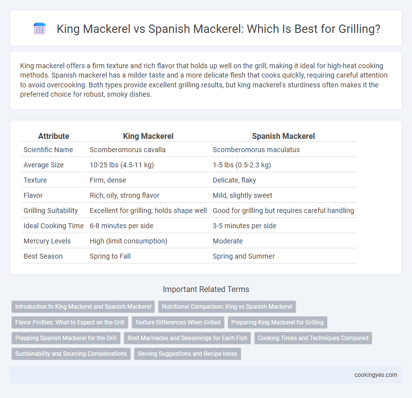 King Mackerel vs Spanish Mackerel: Which Is Best for Grilling?