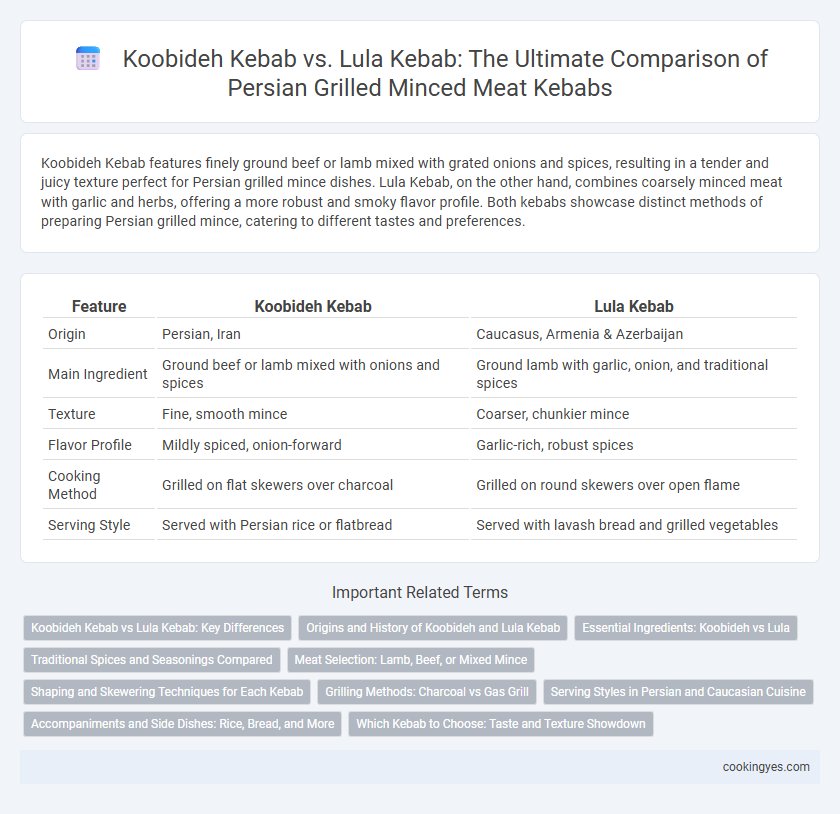 Koobideh Kebab vs. Lula Kebab: The Ultimate Comparison of Persian Grilled Minced Meat Kebabs