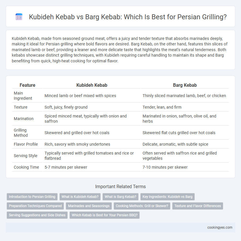 Kubideh Kebab vs Barg Kebab: Which Is Best for Persian Grilling?
