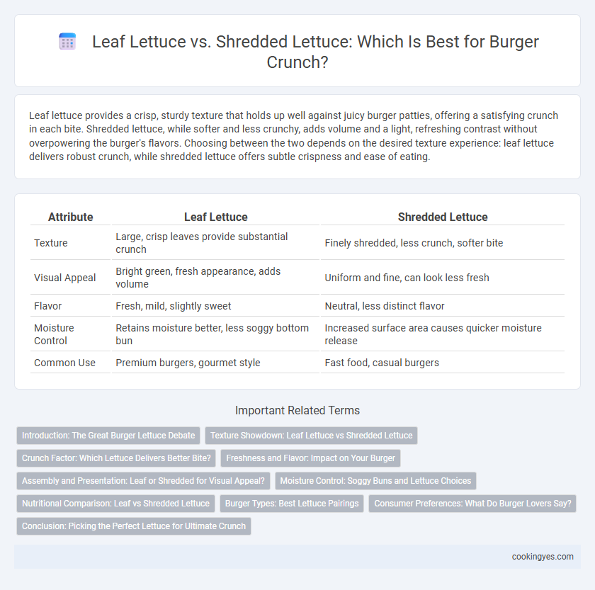 Leaf Lettuce vs. Shredded Lettuce: Which Is Best for Burger Crunch?