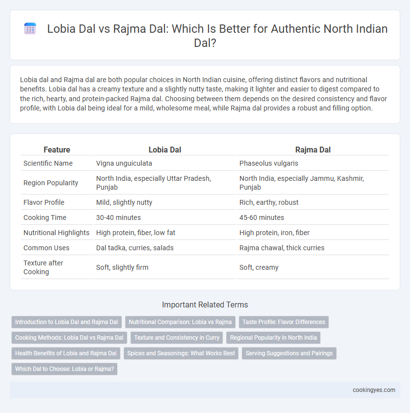 Lobia Dal vs Rajma Dal: Which Is Better for Authentic North Indian Dal?
