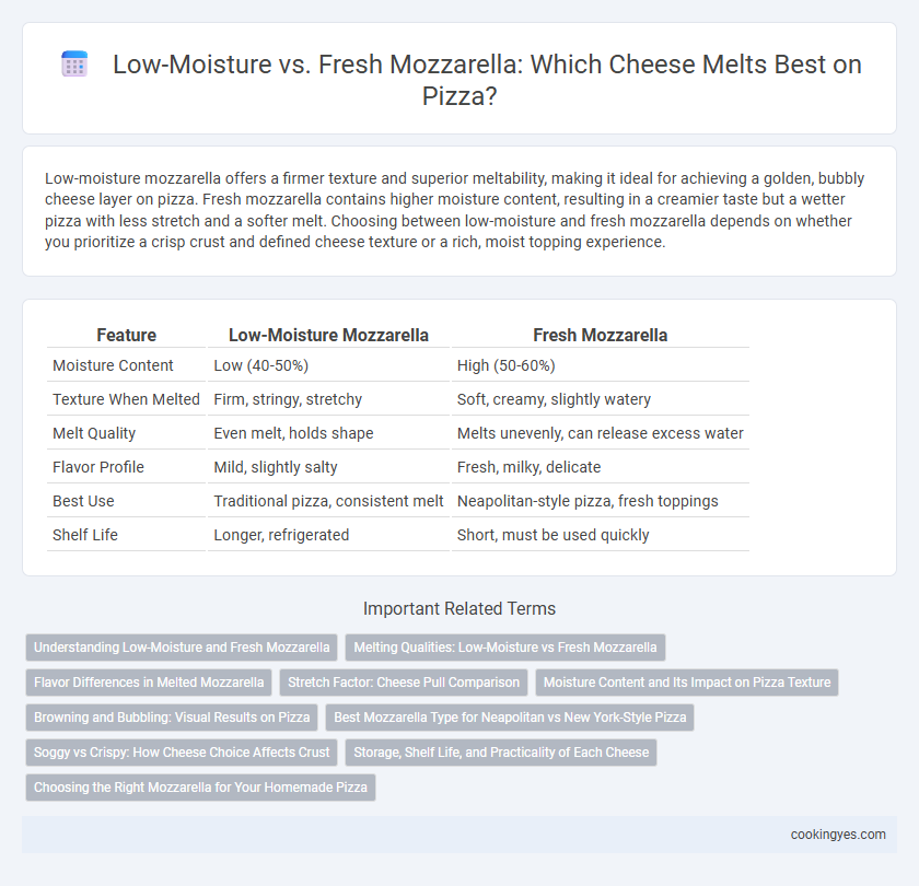 Low-Moisture vs. Fresh Mozzarella: Which Cheese Melts Best on Pizza?