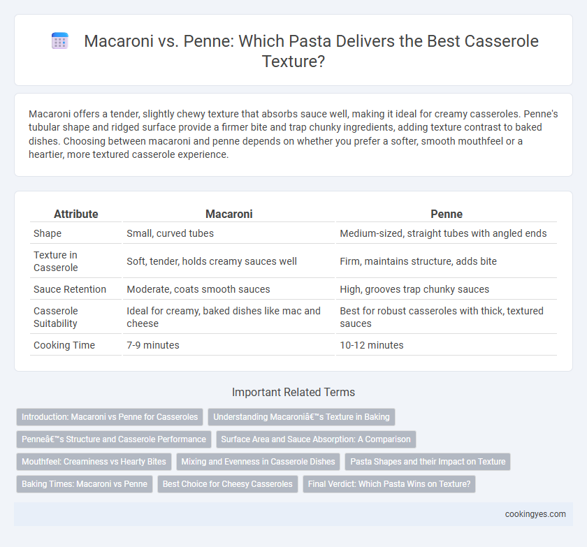 Macaroni vs. Penne: Which Pasta Delivers the Best Casserole Texture?