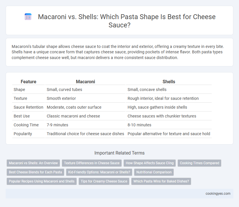 Macaroni vs. Shells: Which Pasta Shape Is Best for Cheese Sauce?