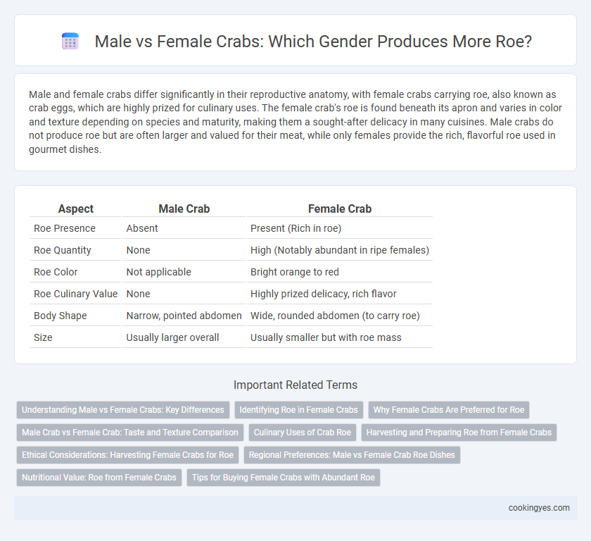 Male vs Female Crabs: Which Gender Produces More Roe?