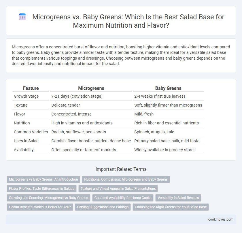 Microgreens vs. Baby Greens: Which Is the Best Salad Base for Maximum Nutrition and Flavor?
