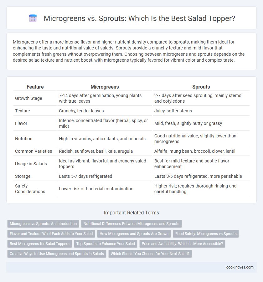 Microgreens vs. Sprouts: Which Is the Best Salad Topper?