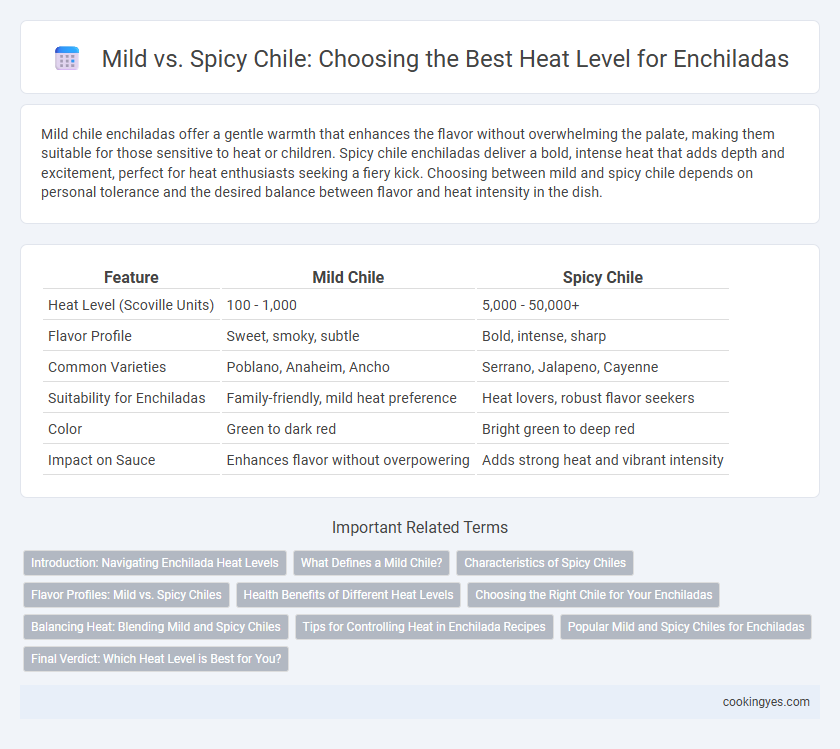 Mild vs. Spicy Chile: Choosing the Best Heat Level for Enchiladas