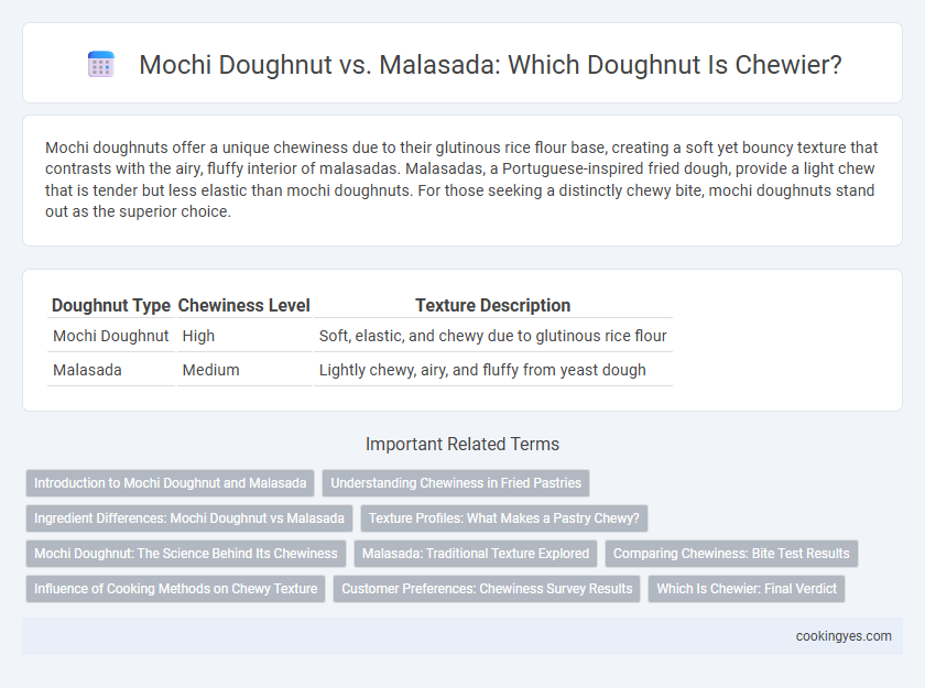 Mochi Doughnut vs. Malasada: Which Doughnut Is Chewier?