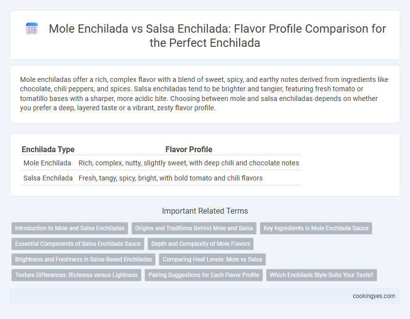 Mole Enchilada vs Salsa Enchilada: Flavor Profile Comparison for the Perfect Enchilada