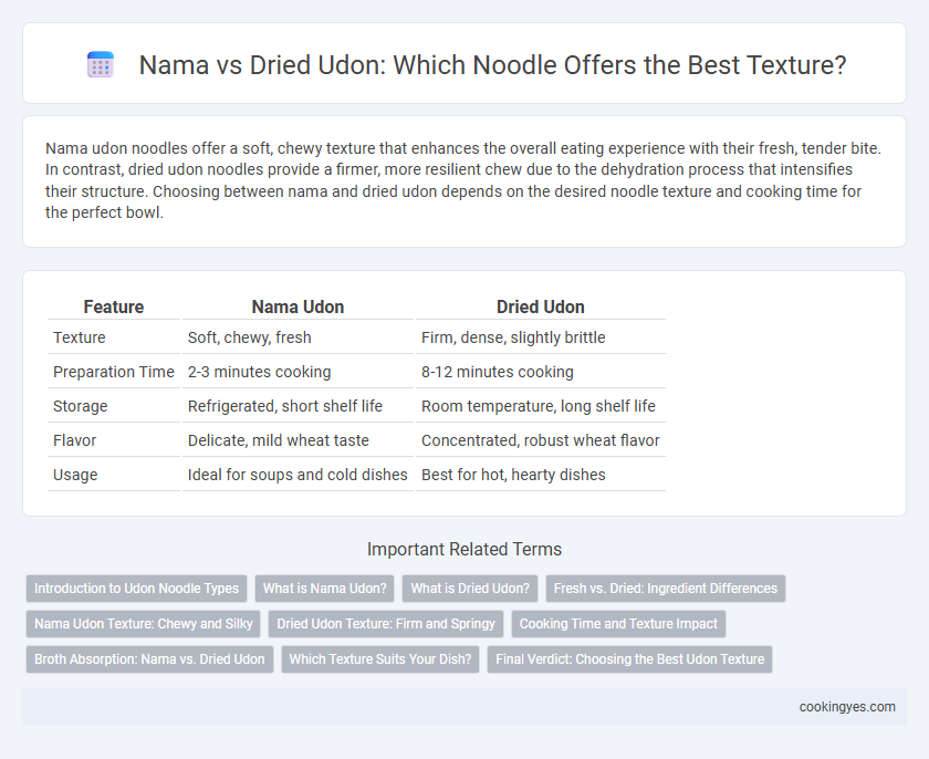 Nama vs Dried Udon: Which Noodle Offers the Best Texture?
