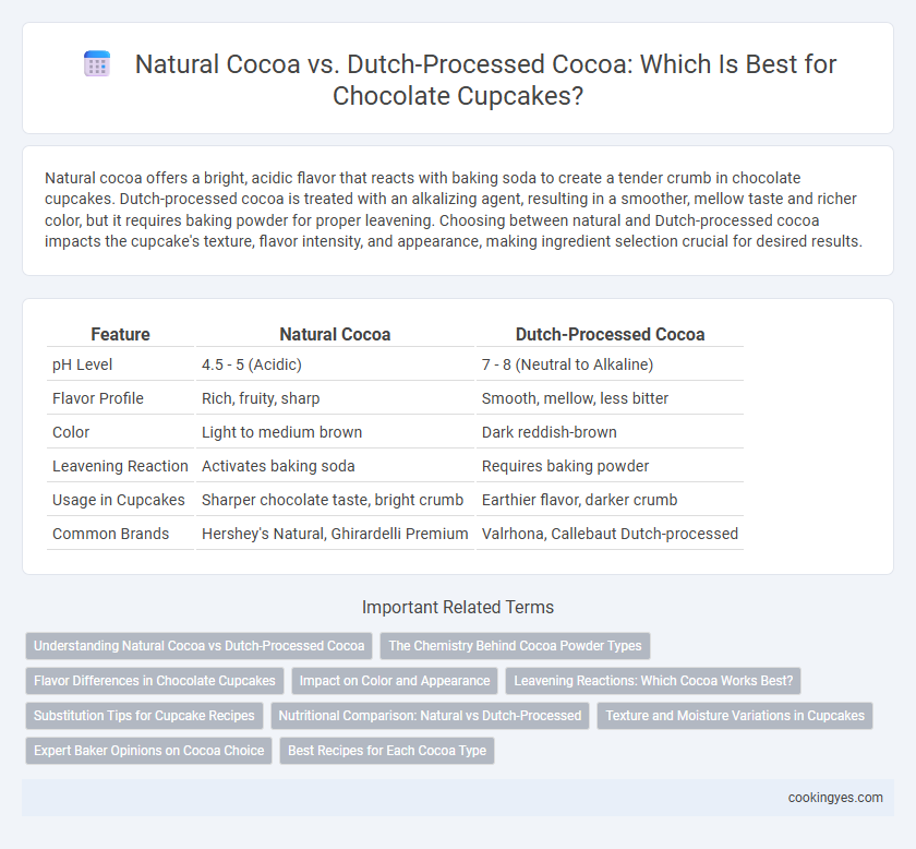 Natural Cocoa vs. Dutch-Processed Cocoa: Which Is Best for Chocolate Cupcakes?