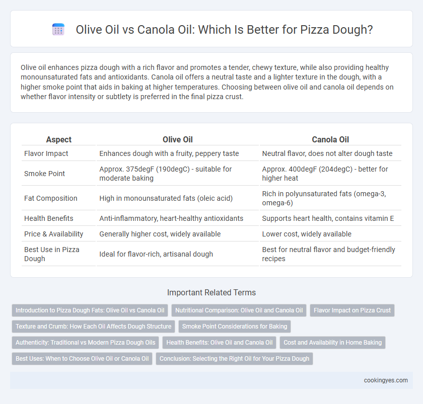 Olive Oil vs Canola Oil: Which Is Better for Pizza Dough?