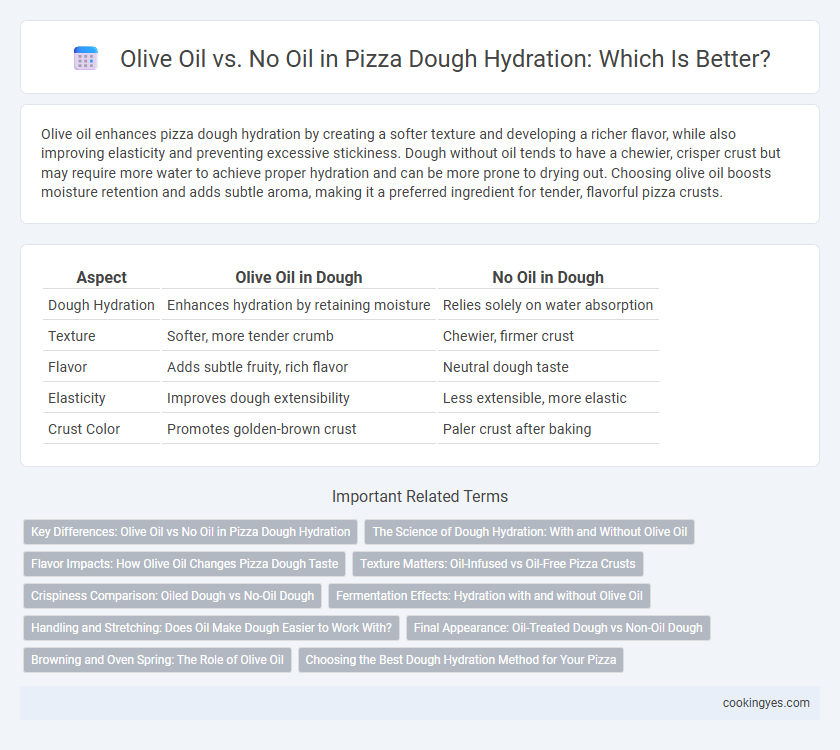 Olive Oil vs. No Oil in Pizza Dough Hydration: Which Is Better?
